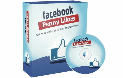Facebook Penny Likes_529x480