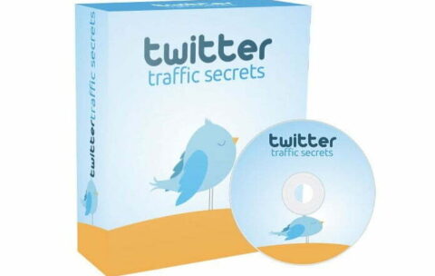 Twitter Traffic Secrets_529x480