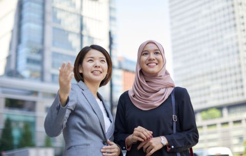 High Conversions Formula for JVZoo Sellers