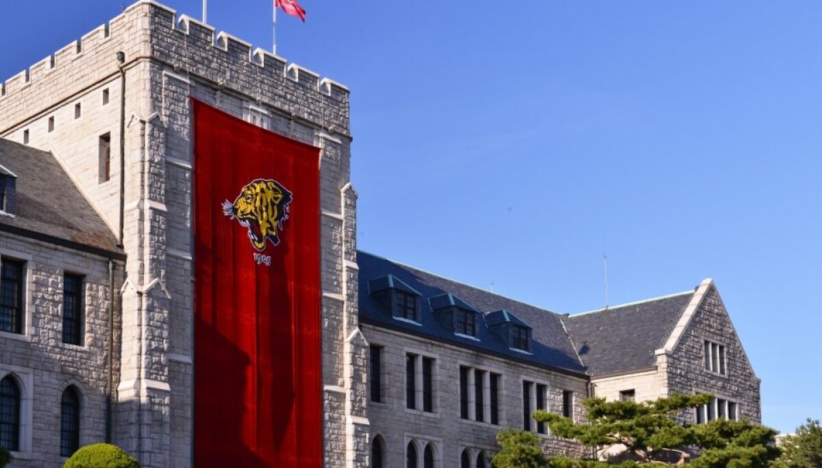 Delayed graduations, visa troubles: International students cite university support failures