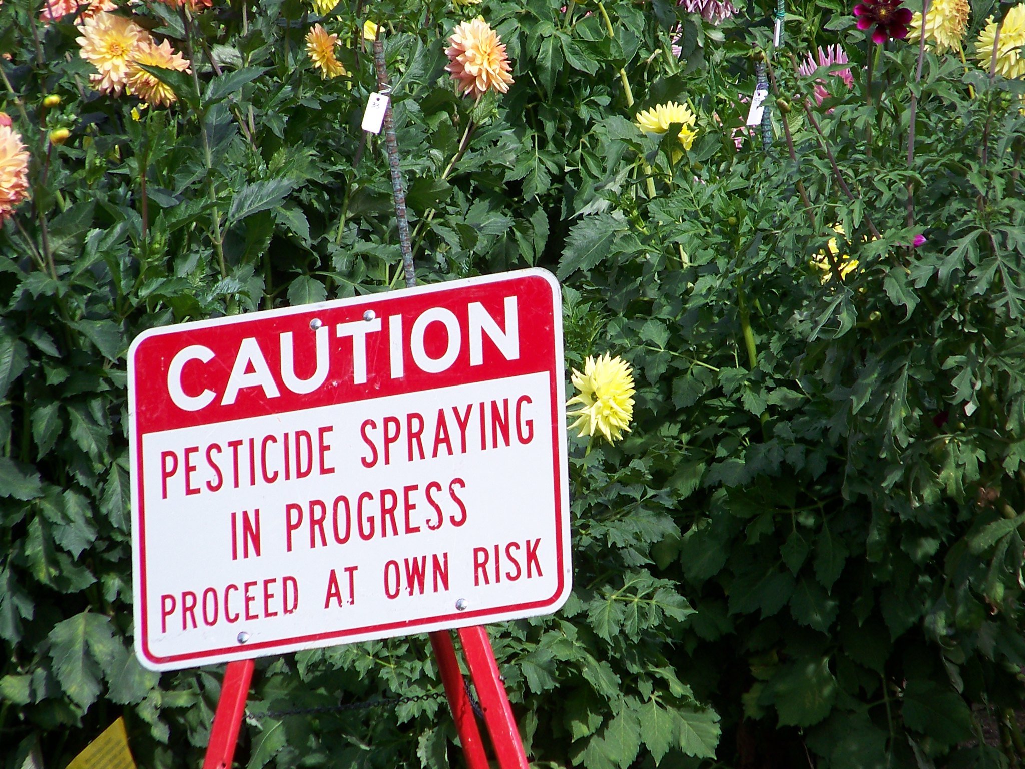 MEPs Herbert Dorfmann and Michele Picaro are keen to make it easier ato authorise aerial spraying of pesticides across the EU (Photo: jetsandzeppelins)