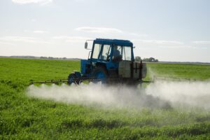 Most European strawberries contain ‘forever chemical’ pesticides that disrupt hormones, study finds