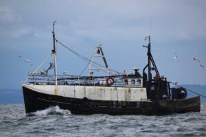 New Peer-Reviewed Study: Bottom Trawling in Europe’s Waters Costs Society up to €16 Billion Annually — Mostly Due to Climate Impacts