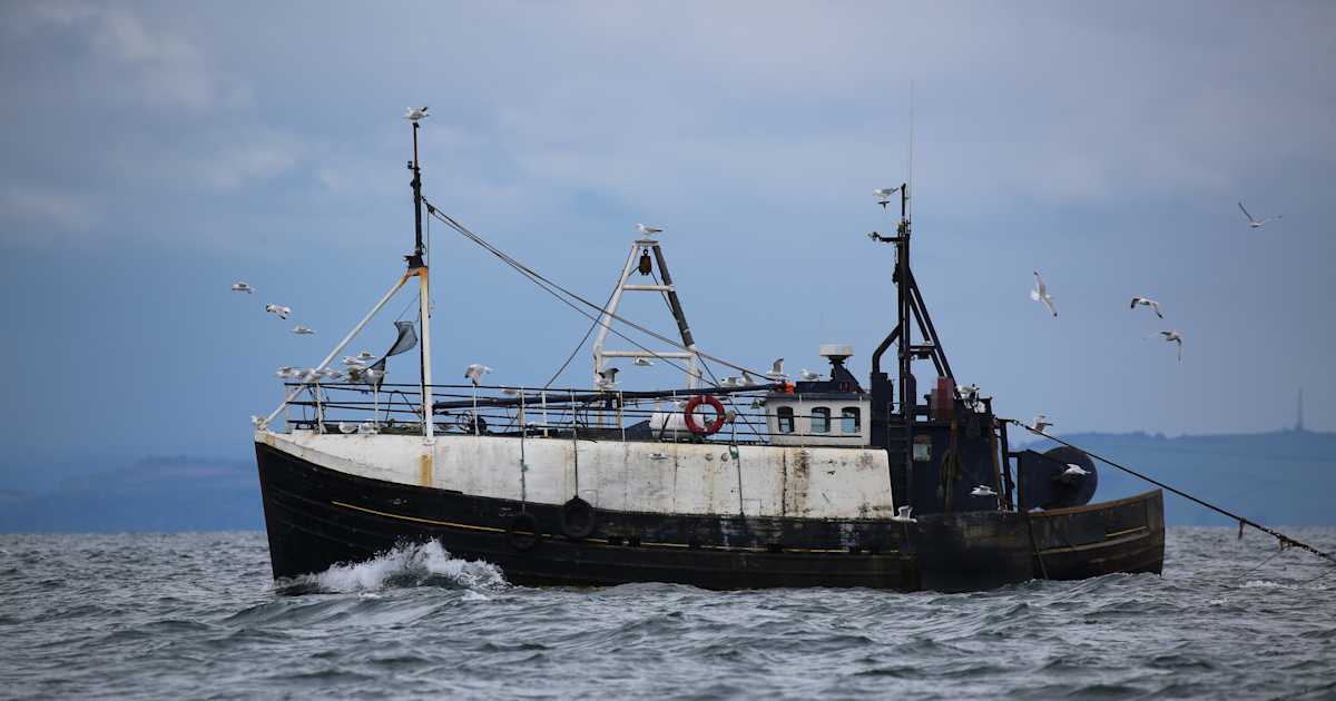 New Peer-Reviewed Study: Bottom Trawling in Europe’s Waters Costs Society up to €16 Billion Annually — Mostly Due to Climate Impacts