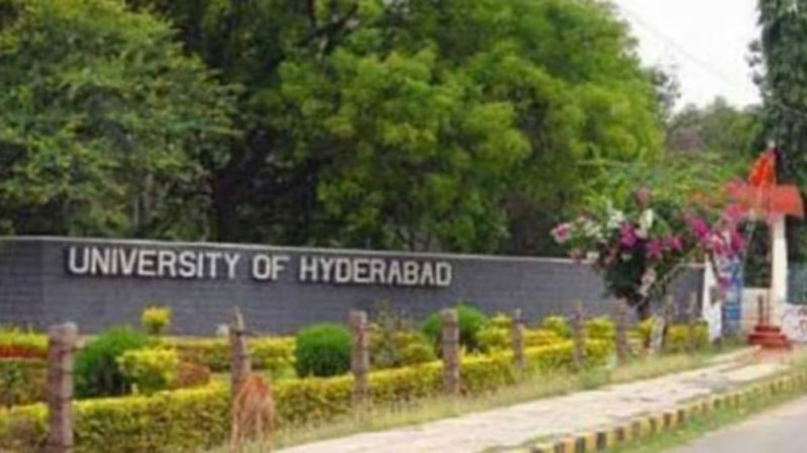 University of Hyderabad opens UG, Integrated PG admissions at uohyd.ac.in; apply by July 21