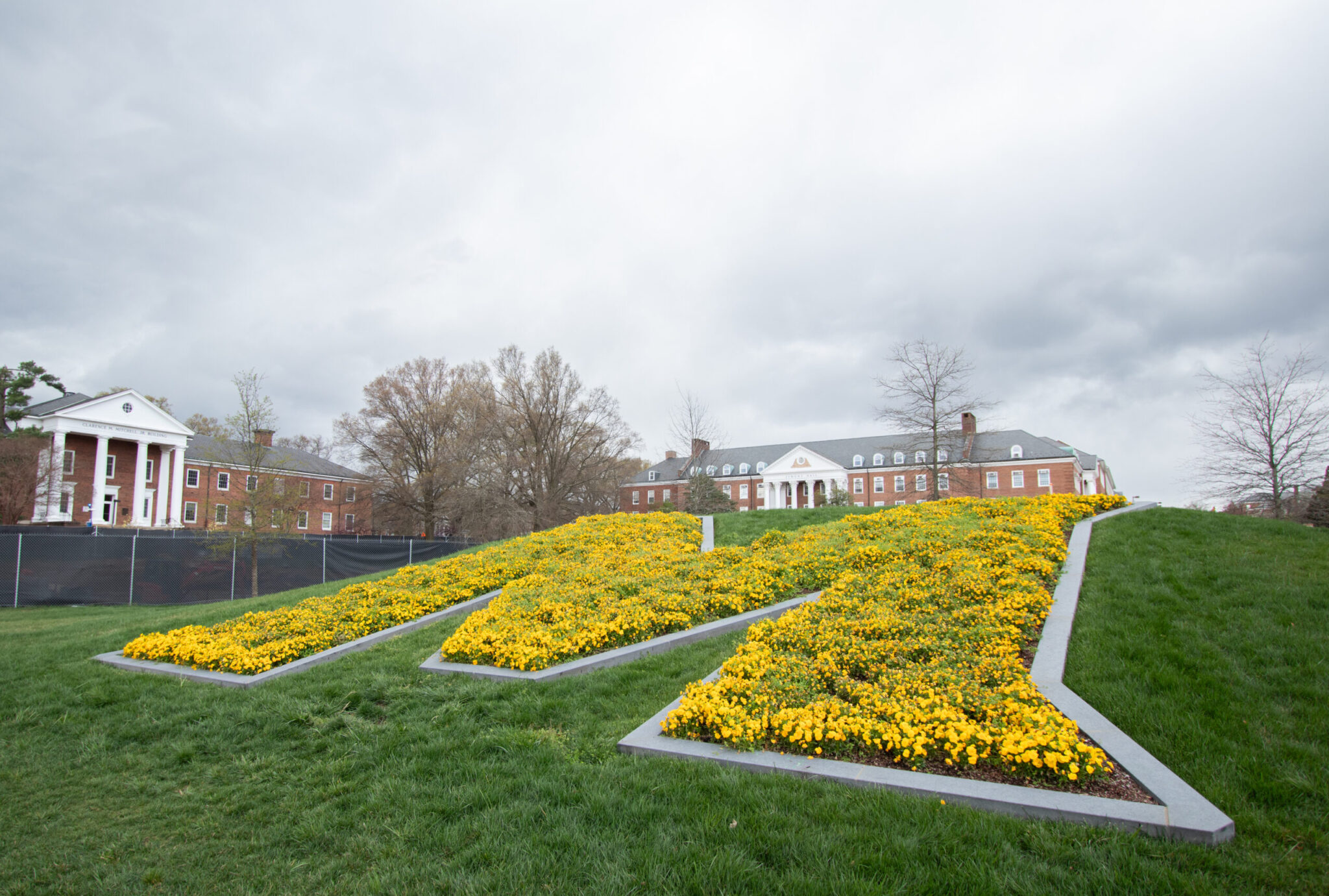 Moore offers late admission, $800 credit for students disenrolled at Howard University - Maryland Matters