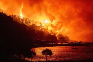 Europe wildfires could jump 39% even in best case: Study