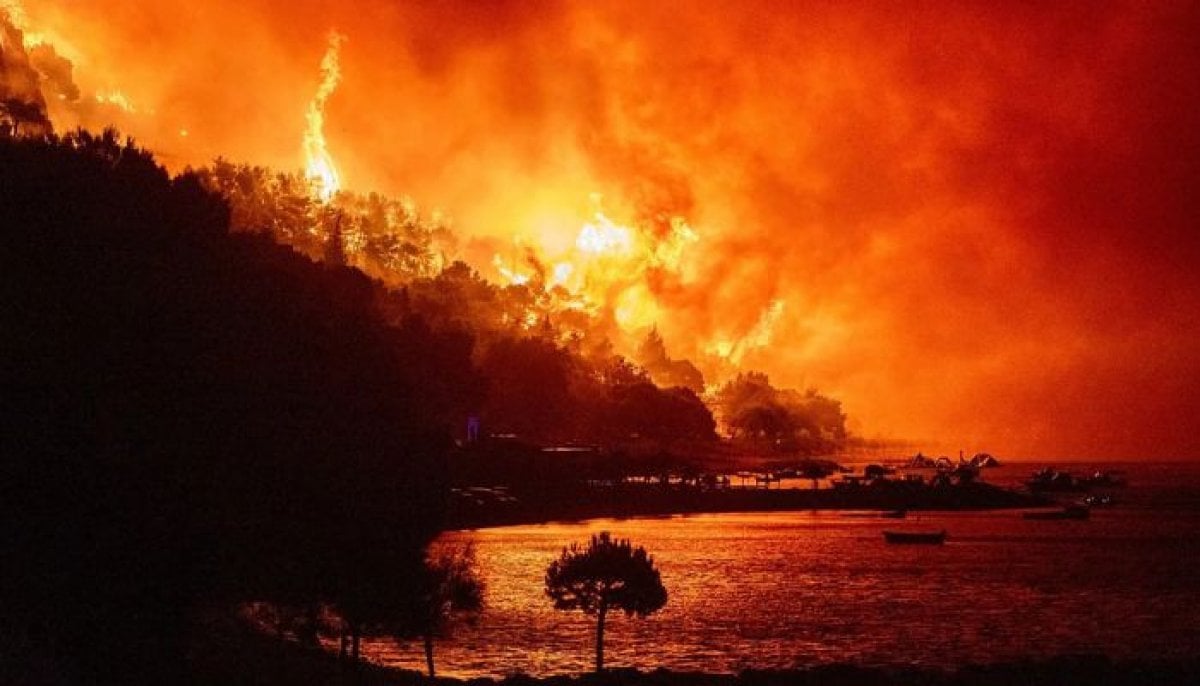 Europe wildfires could jump 39% even in best case: Study