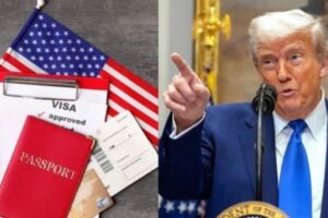 US student visa: Trump administration tightens rules, cracking down on internships for international students