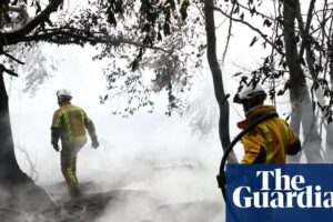 Without action wildfires in Europe will increase 39% even in best-case climate scenario, study finds