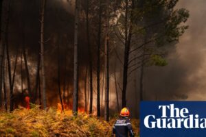 ‘Extremely scary findings’ show climate crisis is supercharging Europe’s wildfire weather