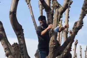 Iran's top university expels student over toy rat that mocked Ali Khamenei