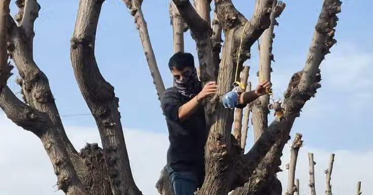 Iran's top university expels student over toy rat that mocked Ali Khamenei