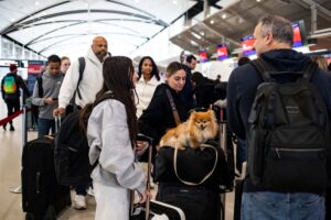 Dependant visas: 14 countries you can study and bring family