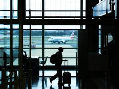US student visas to Indian, Chinese nationals see sharp decline in 2025, says CIS report