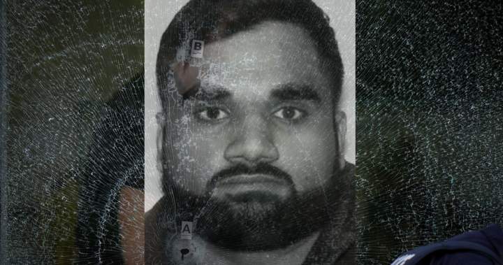 EXCLUSIVE: Classified report reveals how India’s Bishnoi gang uses Canada’s student visa program | Globalnews.ca