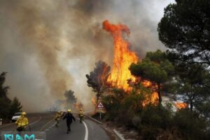 Forest Fire Danger Doubled in Southern Europe over Last 30 Years: Study - Islam Times