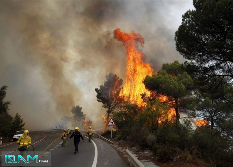 Forest Fire Danger Doubled in Southern Europe over Last 30 Years: Study - Islam Times