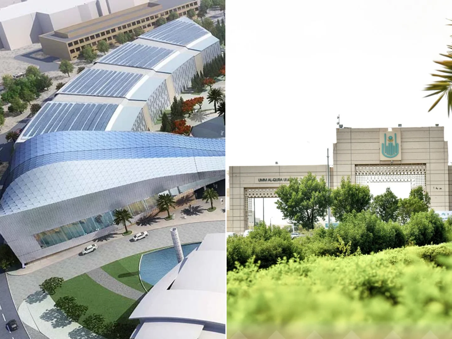 Top Growing Medical Universities in the Wold: 2026 Edition by BIGR