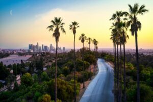 US Department of State issued 23% fewer study visas to international students in 2025