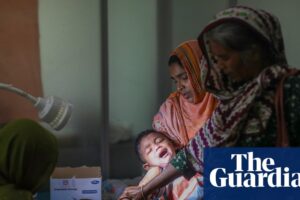 UK, German and French aid cuts will take ‘devastating toll’ on most vulnerable, says study