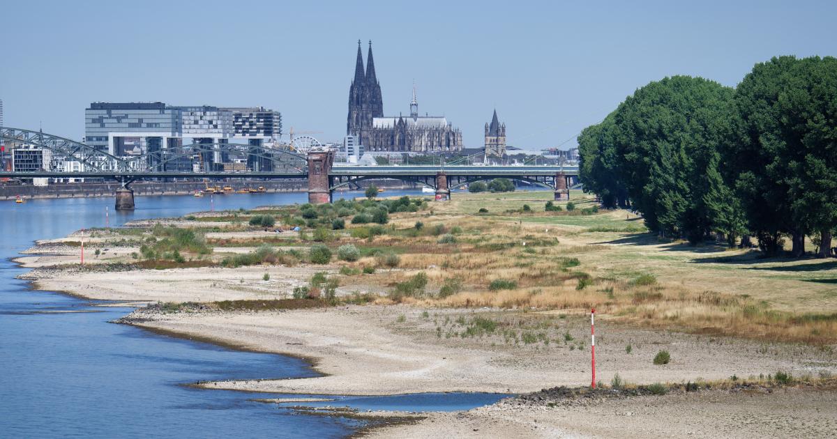 Worsening drought and record heat grip Europe, fuelling extraordinary wildfires and extremely low river flows