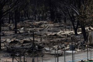 A study attributes the “extreme” weather conditions that fuelled the fires in Spain and France to climate change