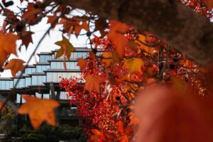UC San Diego Ranks No. 4 Among US Public Universities in Academic Ranking of World Universities