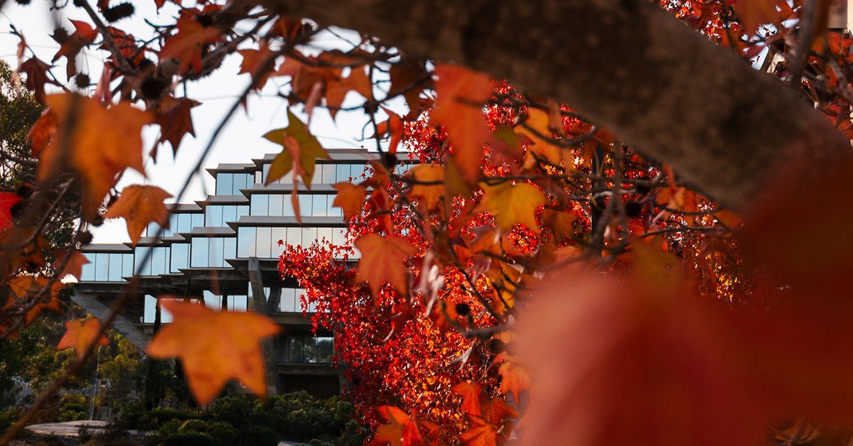 UC San Diego Ranks No. 4 Among US Public Universities in Academic Ranking of World Universities