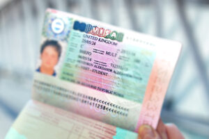 Visa applications to study in UK plunge in crucial summer months - Research Professional News