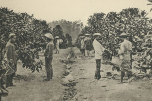 Dutch royal house benefitted from colonial policies, study shows - Europe - The Jakarta Post