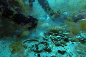 What Shipwrecks Reveal About the Origins of the Benin Bronzes