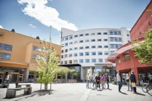 Career opportunities in Sweden after graduation