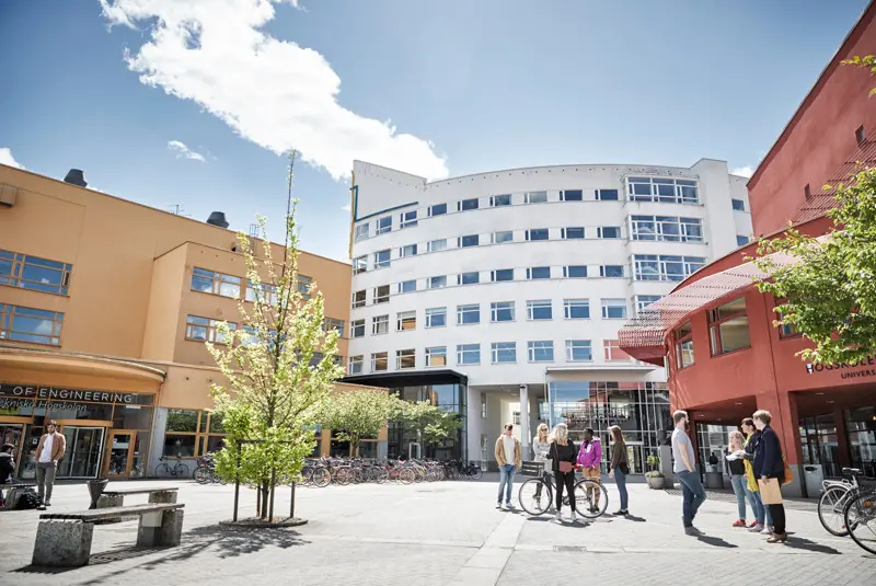 Career opportunities in Sweden after graduation