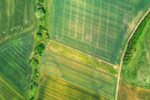 Regenerative farms cut drought losses by two‑thirds in landmark France study