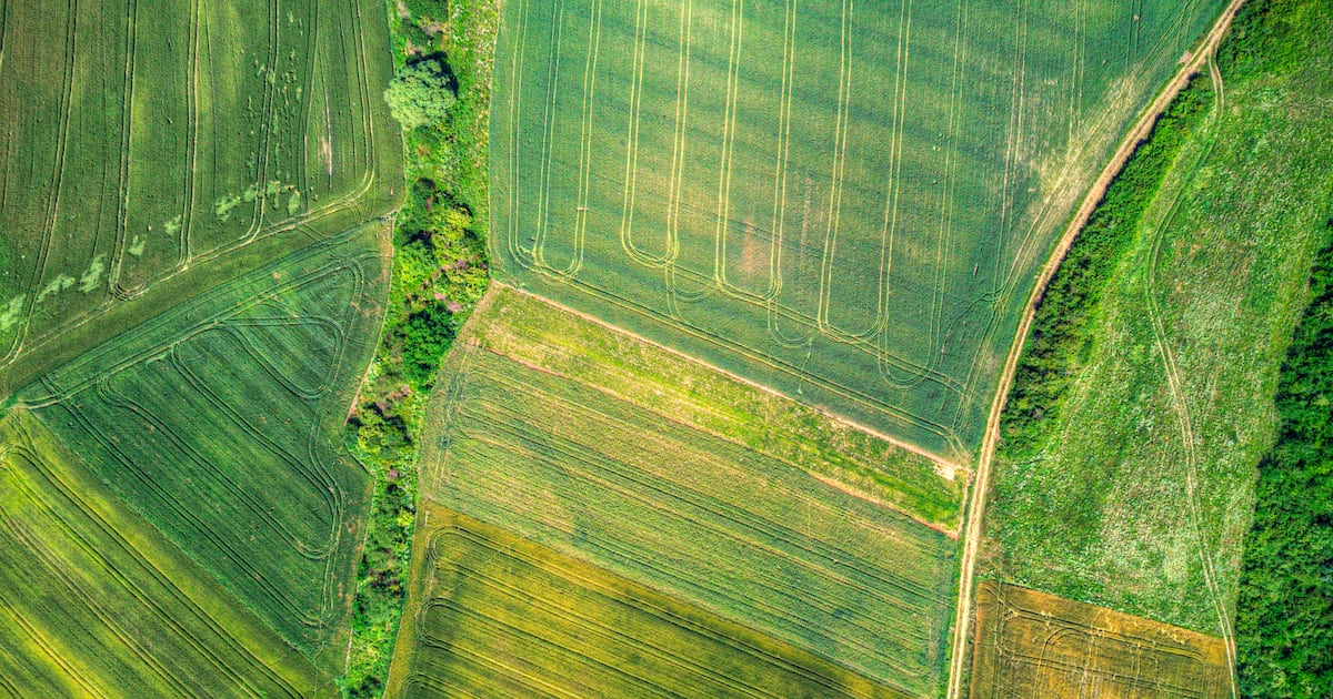 Regenerative farms cut drought losses by two‑thirds in landmark France study